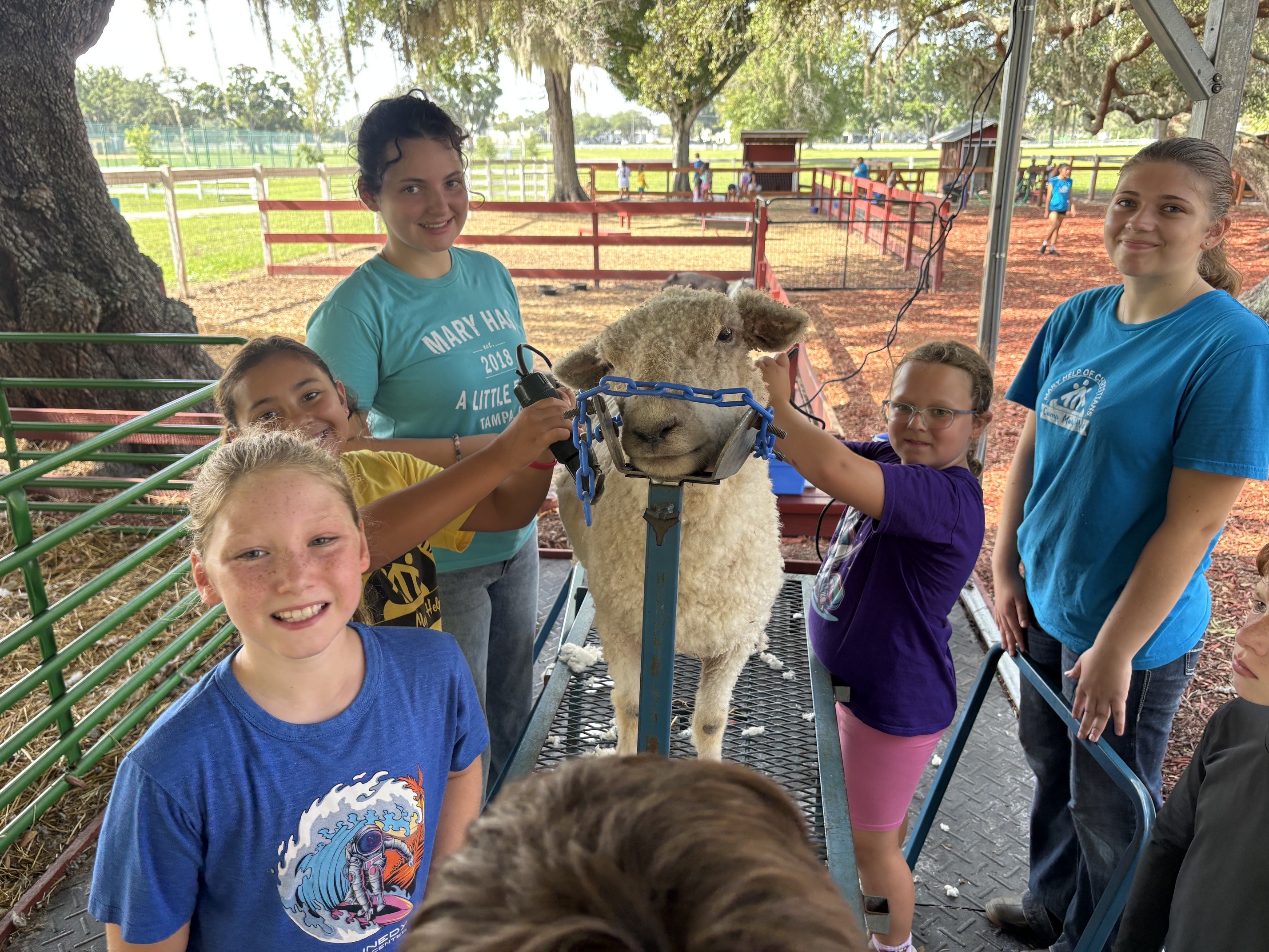 Camp Mary Help 2