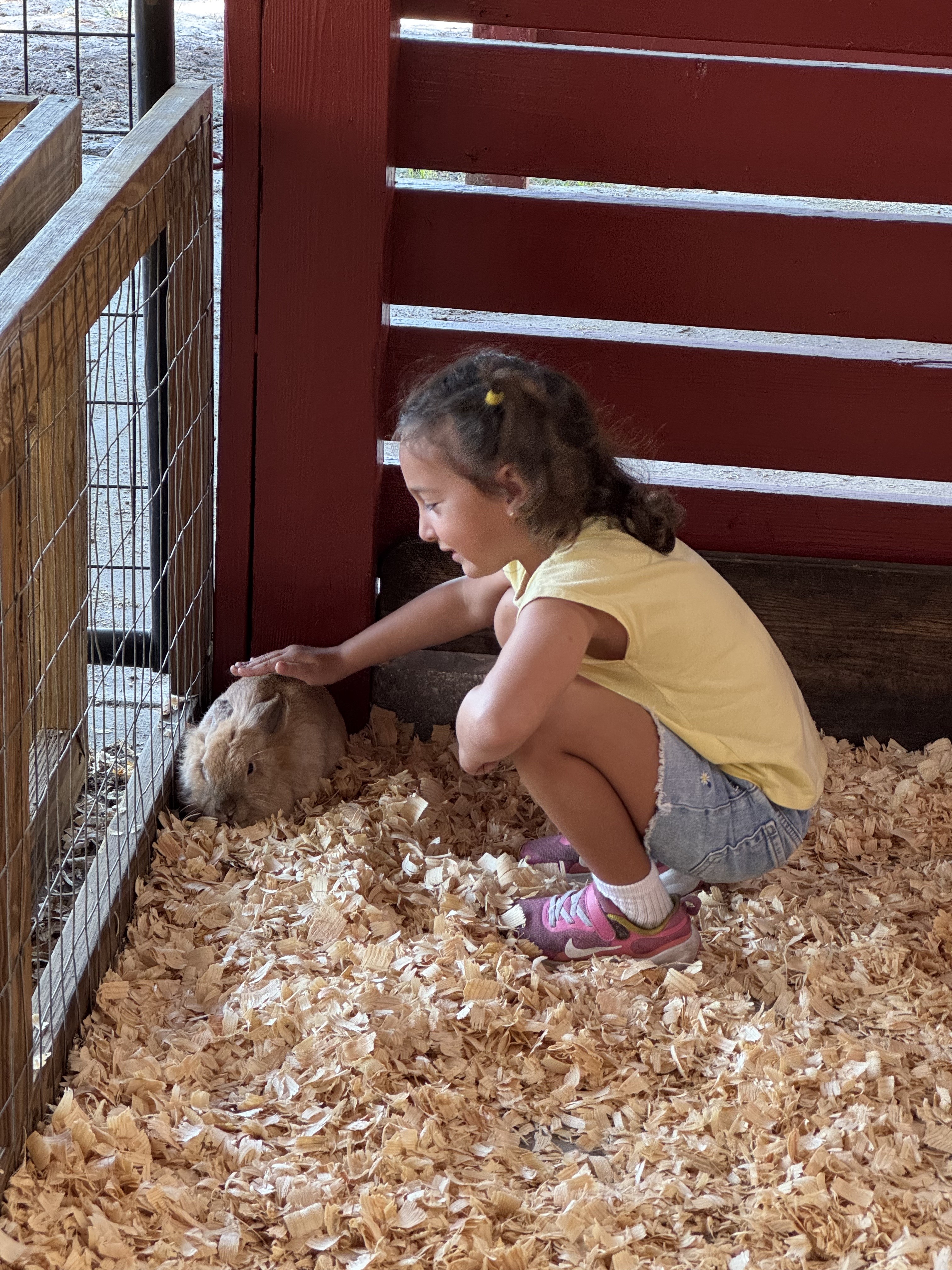 Clark Elementary Student and Bunny Aa Mary Has a Little Farm_10.15.25
