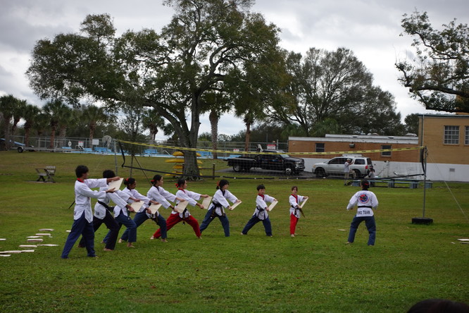 Taekwondo demonstration in Tampa, FL