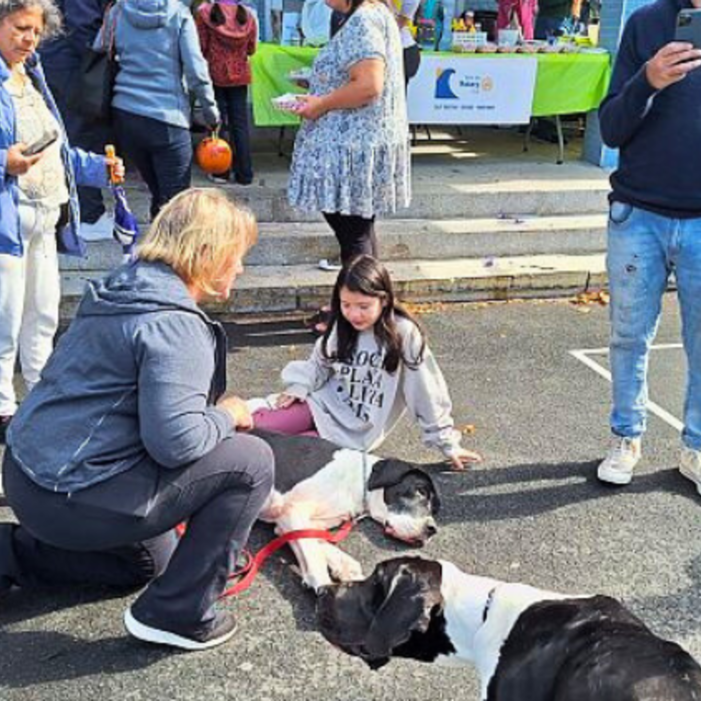 East Boston: St. Francis Petting Zoo