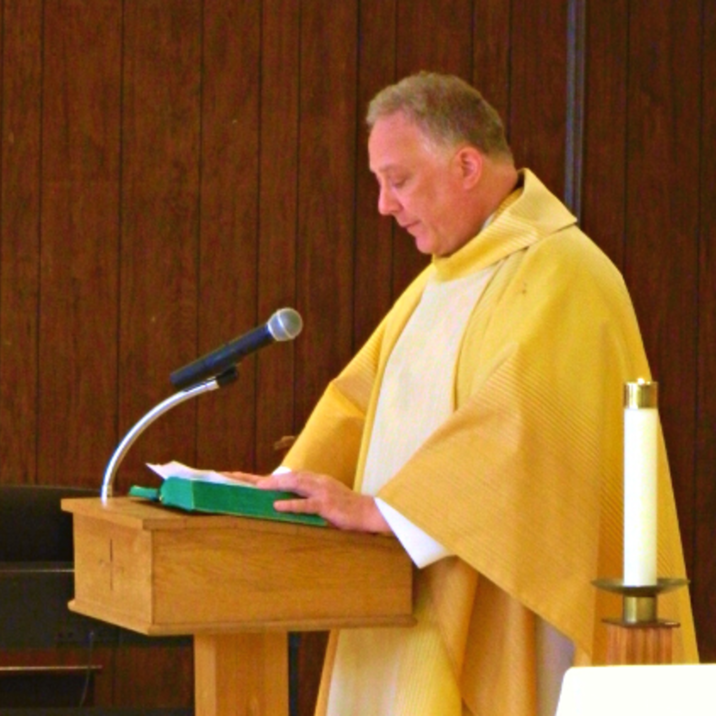 Fr. Tim's Homily