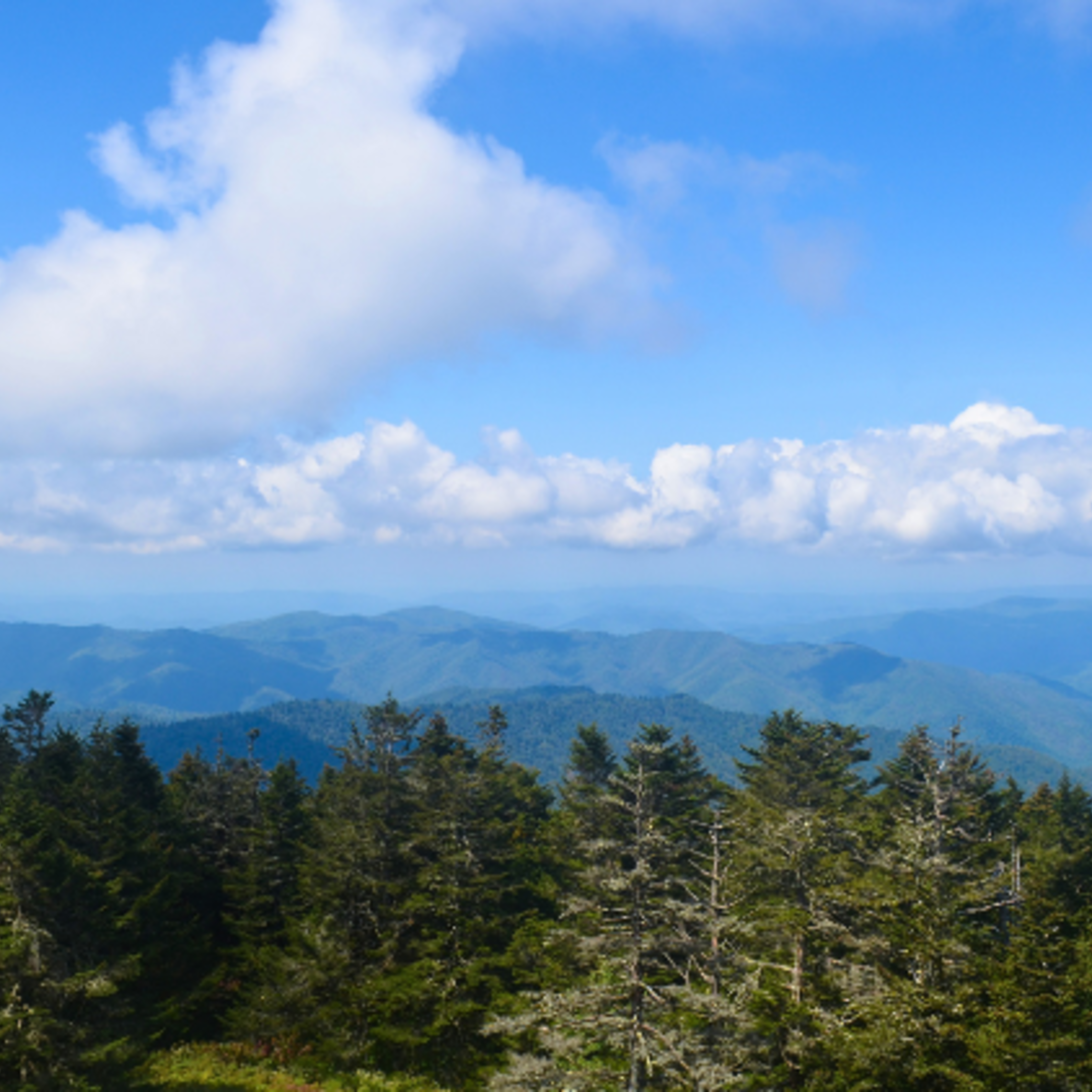 View from Kuwohi Observation Tower in Great Smoky Mountains National Park | Credit: Amy Stockinger Hope For Creation