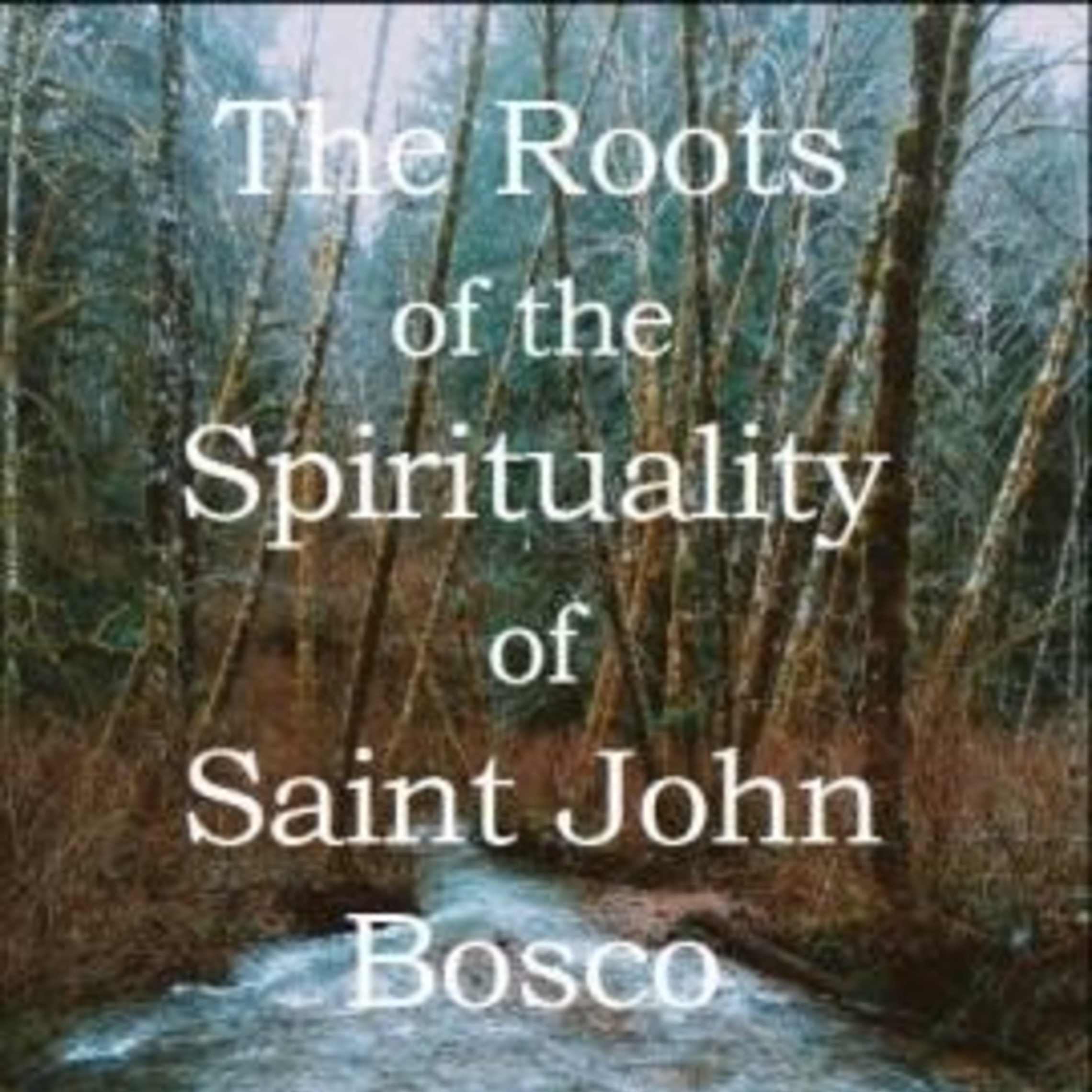 New Book  The Roots Of The Spirituality Of Saint John Bosco