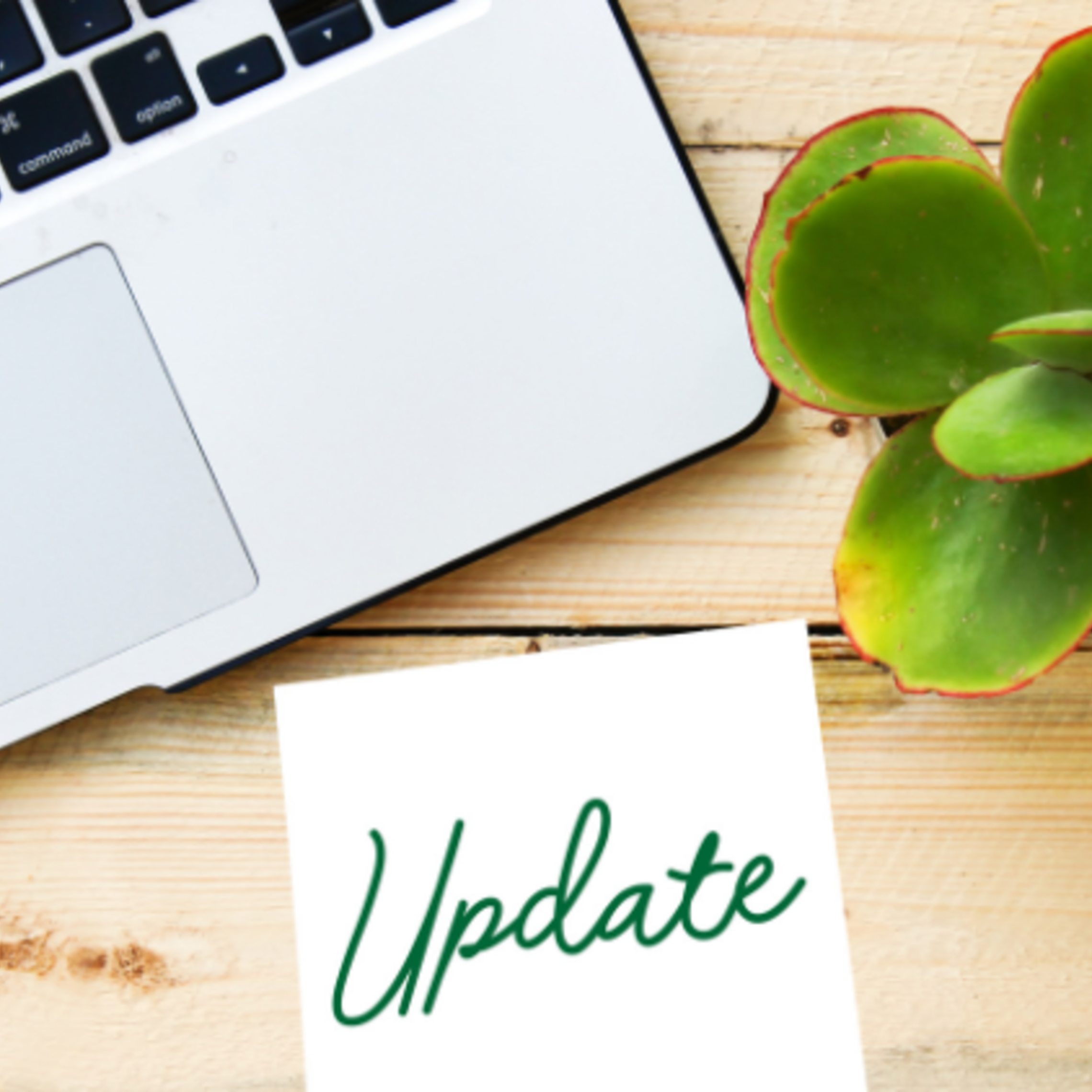 Salesian News Update