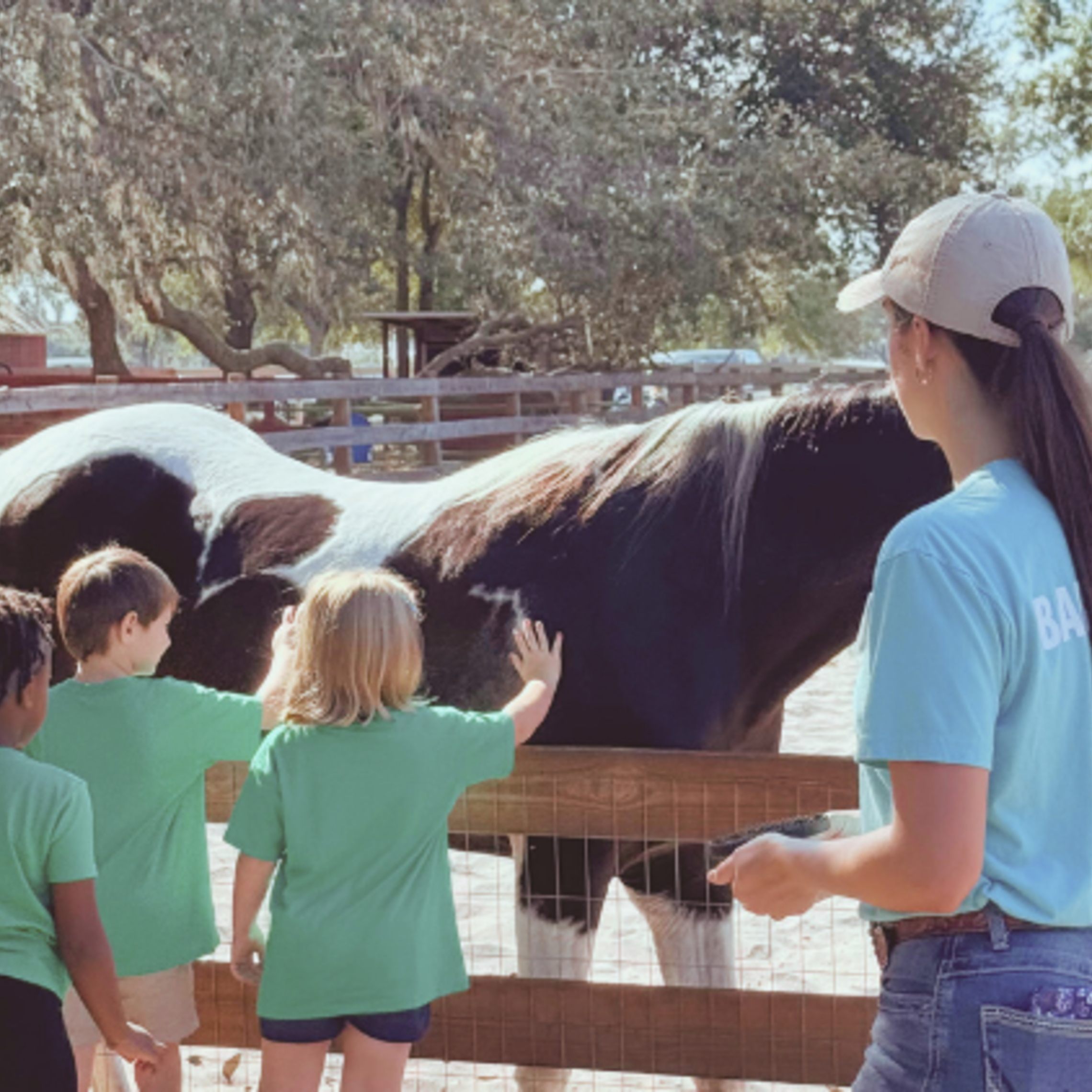Mary Has a Little Farm volunteers supervise as visiting students pet one of the farm’s horses. | Credit: Julia St. Clair Tampa: Mary Has A Little Farm Field Trip