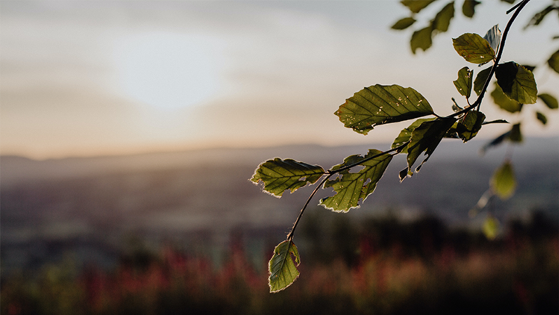 Photo by Beth Jnr on Unsplash Care for Creation