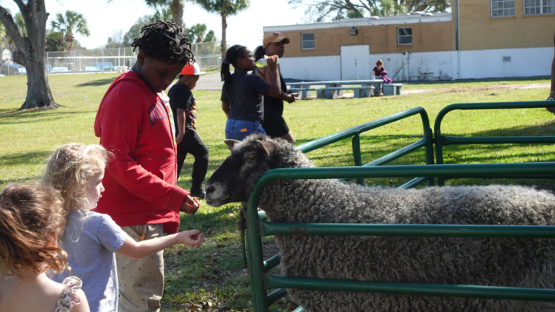 Children feed the animals at the petting zoo during this year's Don Bosco Festival | Photo courtesy of Mary Help of Christians Center's Facebook Don Bosco Festival in Tampa, Fl