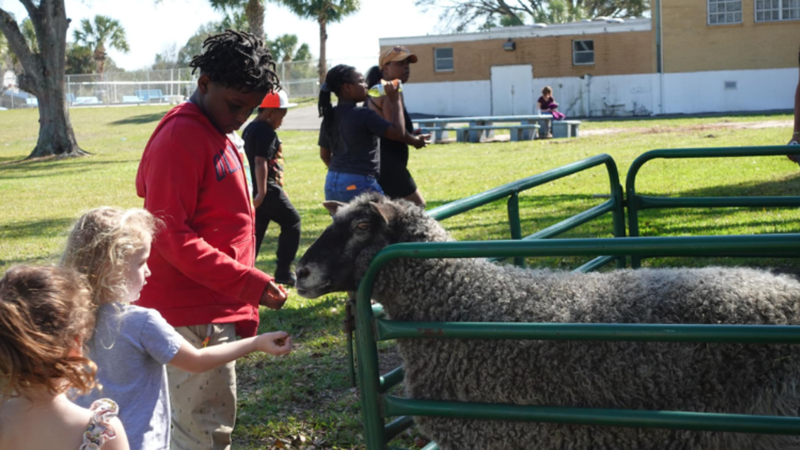 Don Bosco Festival in Tampa, Fl