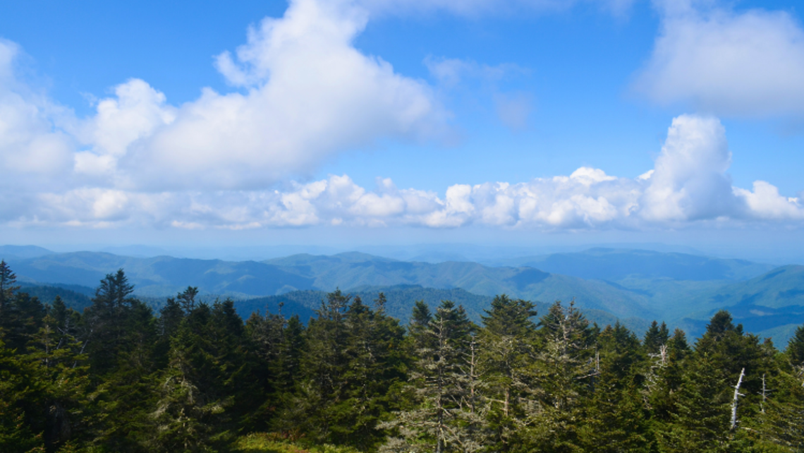 View from Kuwohi Observation Tower in Great Smoky Mountains National Park | Credit: Amy Stockinger Hope For Creation