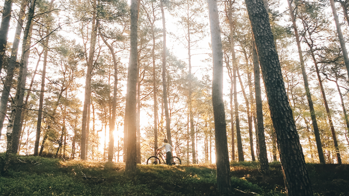 Photo by Sem Steenbergen from Pexels Message of the Provincial 04.22.21