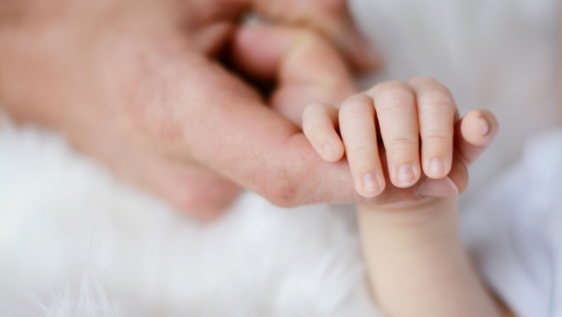 Baby holding his or her parent's finger | Photo courtesy of Canva Pro Pro-Life Feature Jan. 6