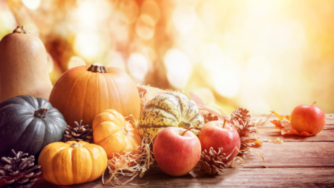 Happy Thanksgiving! Photo from Canva Pro Thanksgiving Reflections New Website