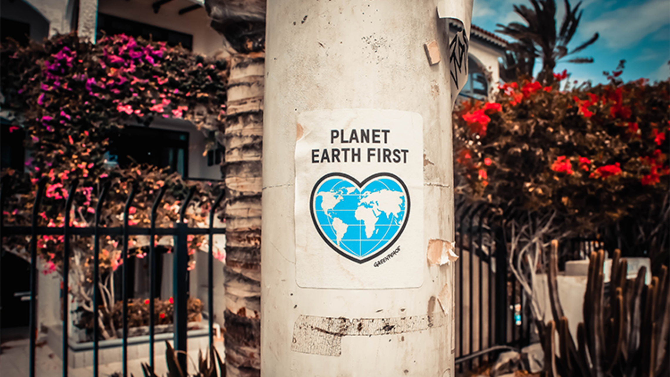 Earth Day Reflection