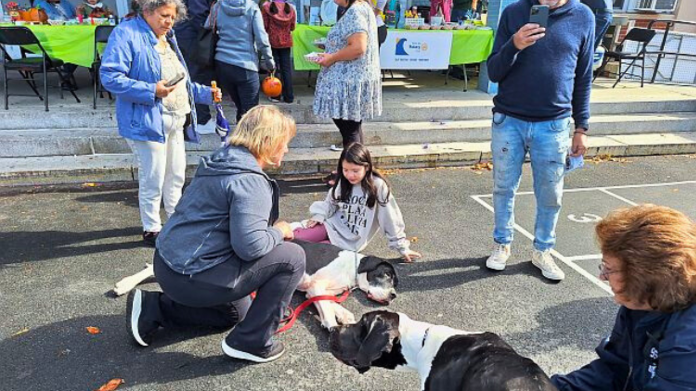 East Boston: St. Francis Petting Zoo