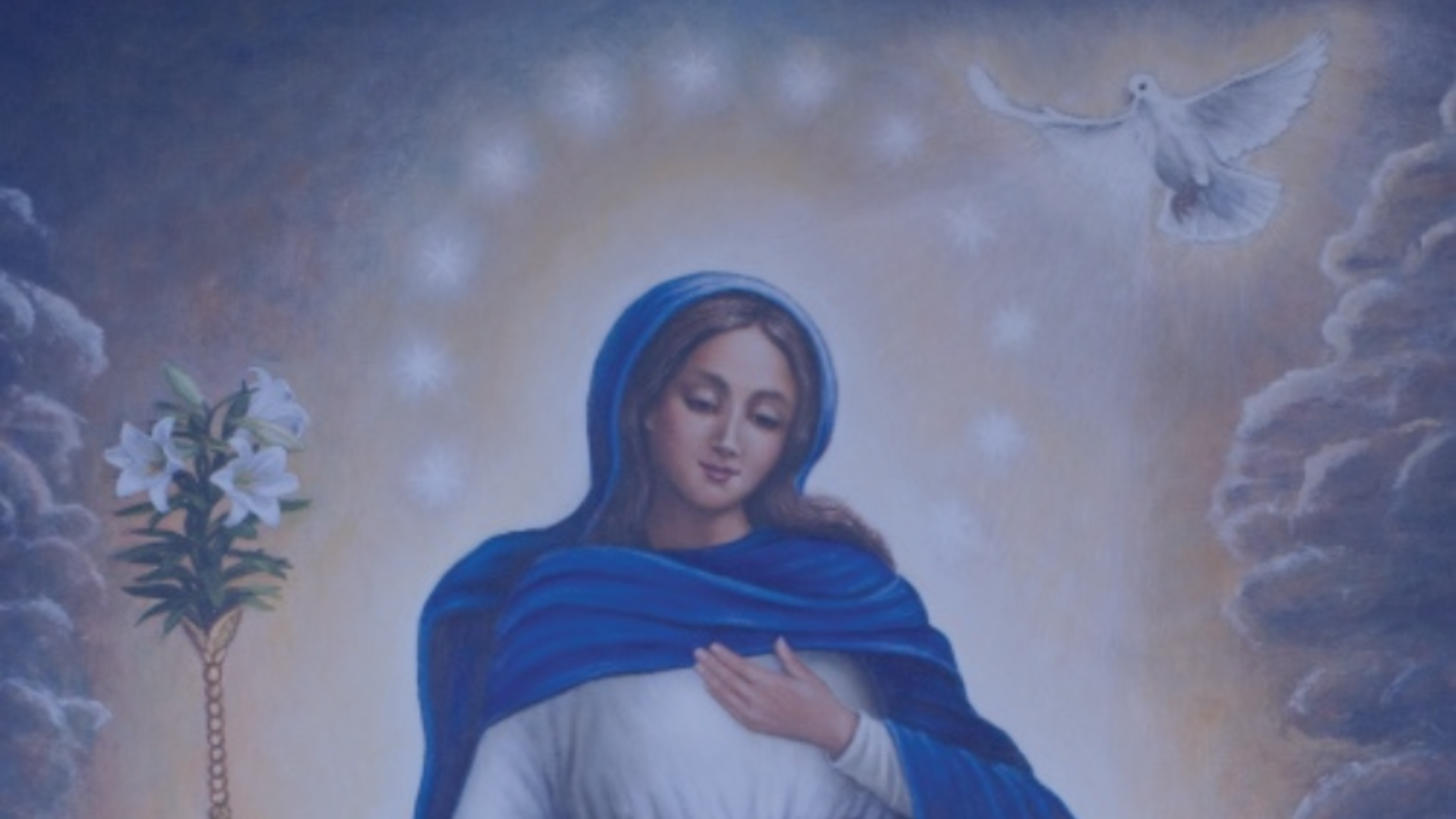 Immaculate Conception Novena 2024