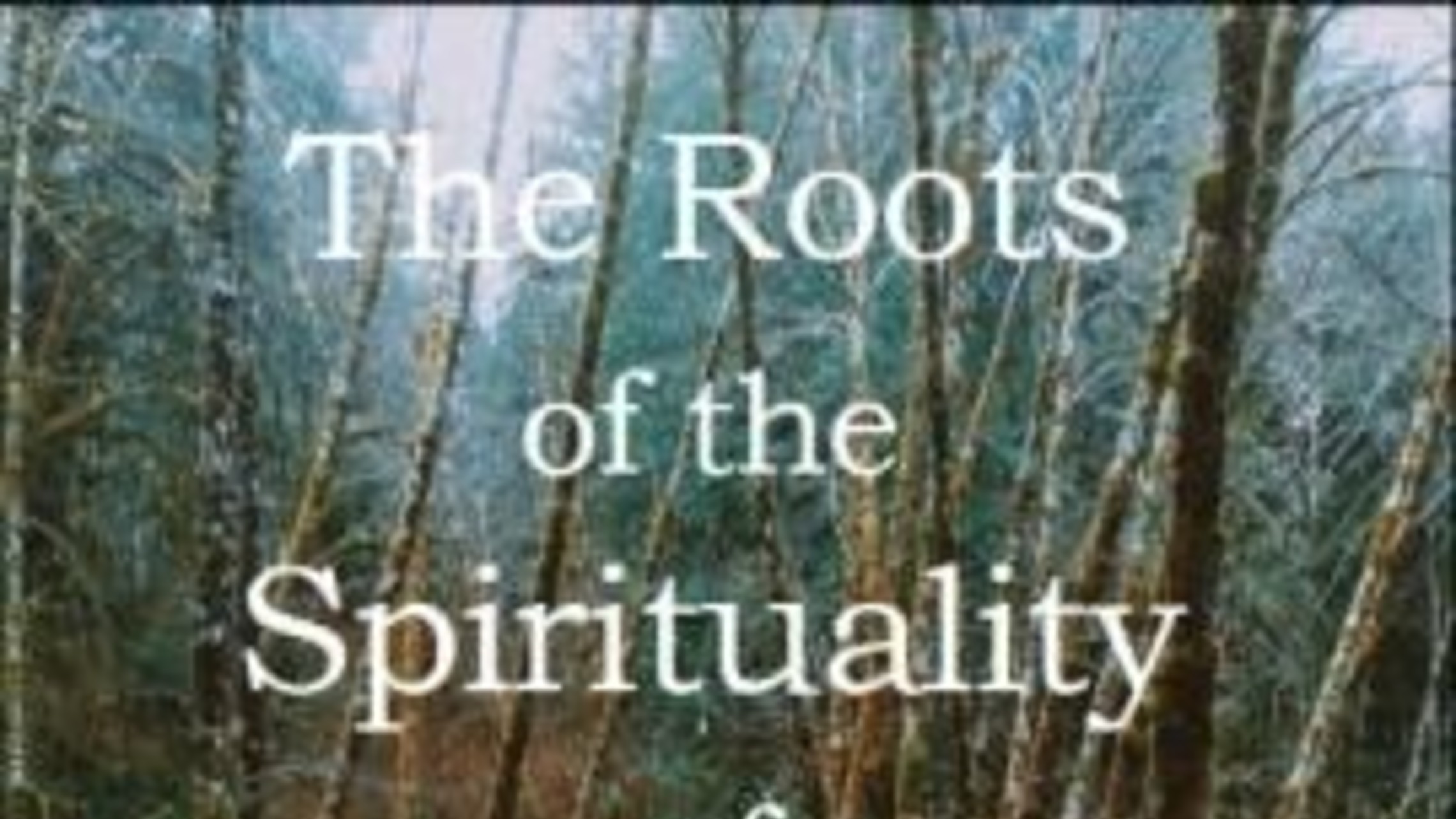 New Book  The Roots Of The Spirituality Of Saint John Bosco