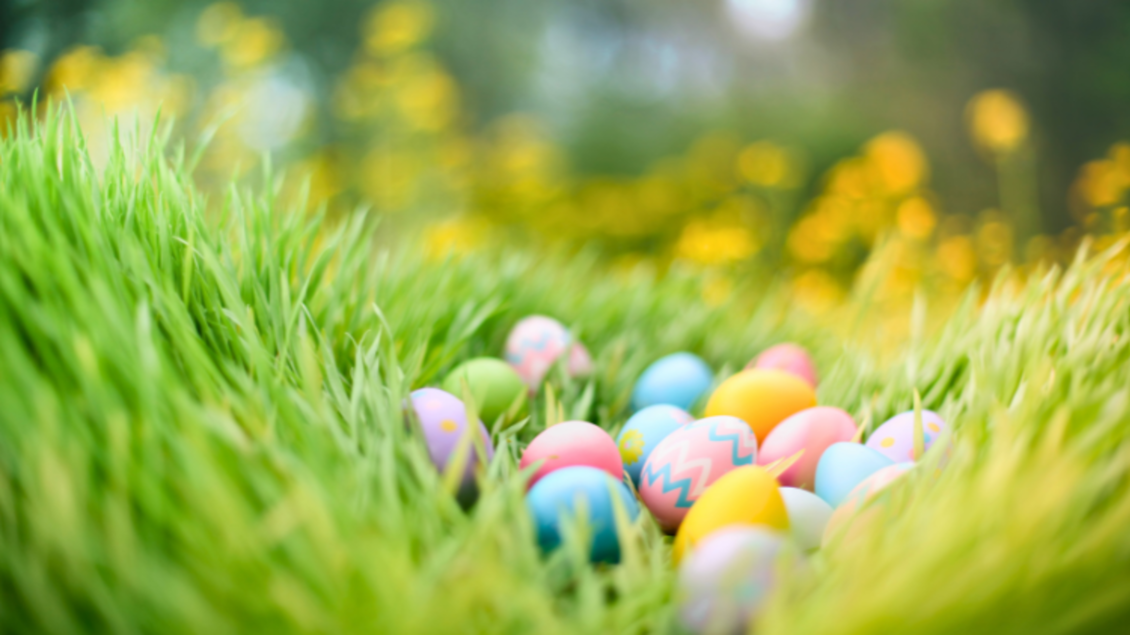 New Rochelle: Easter Egg Hunt
