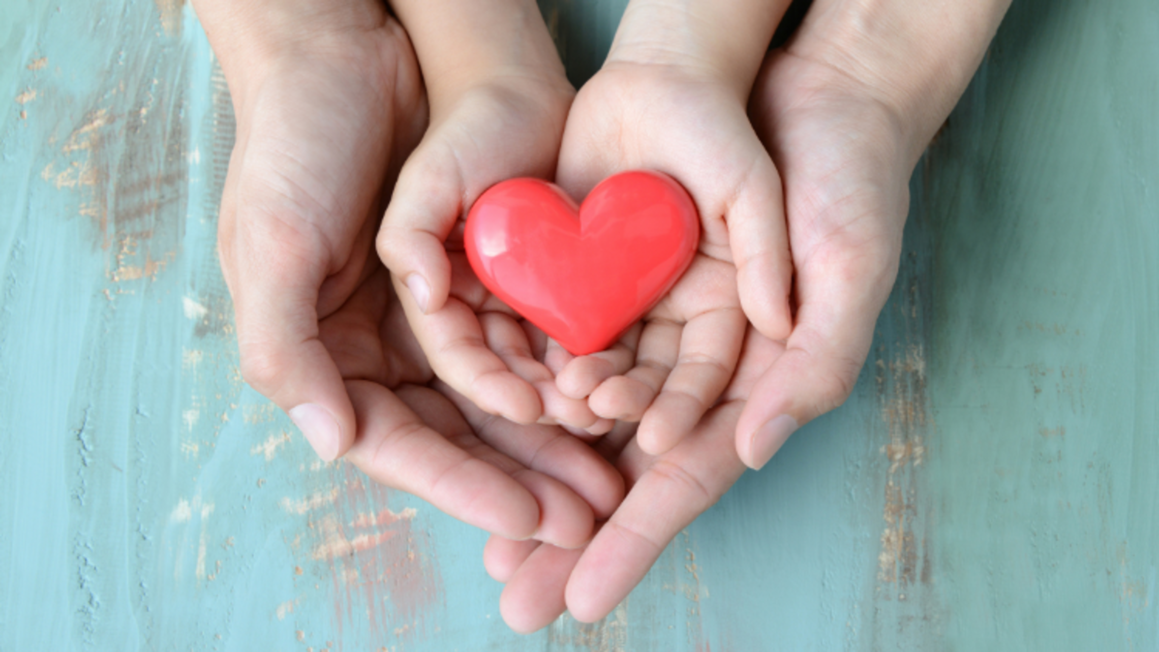 Salesian Family Series on the Joys of Love and Family