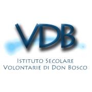 Volunteers Of Don Bosco Logo